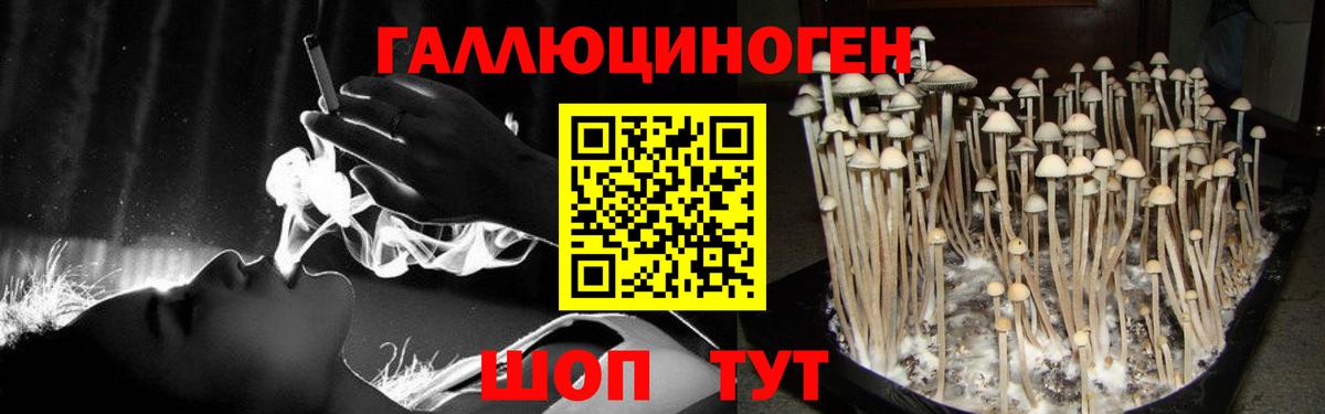 Галлюциногенные грибы прущие грибы  Вход с VPN  Касимов 